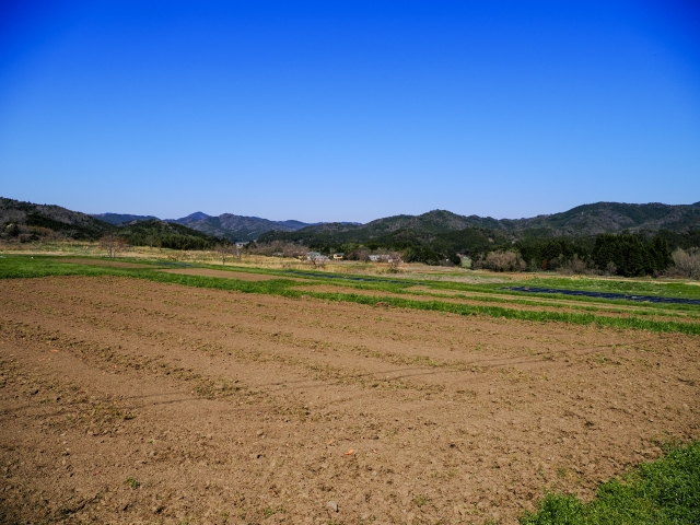 土