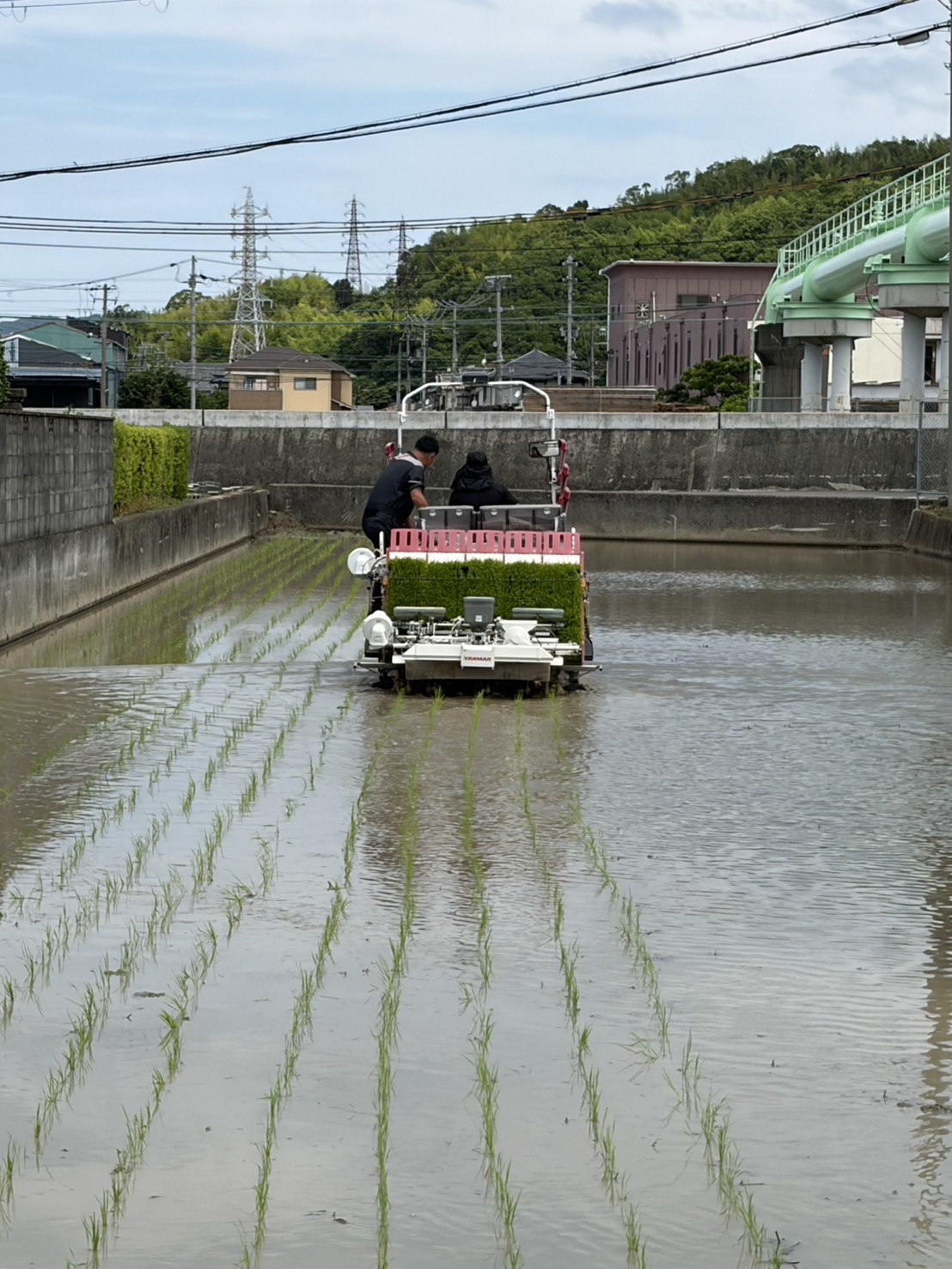 土